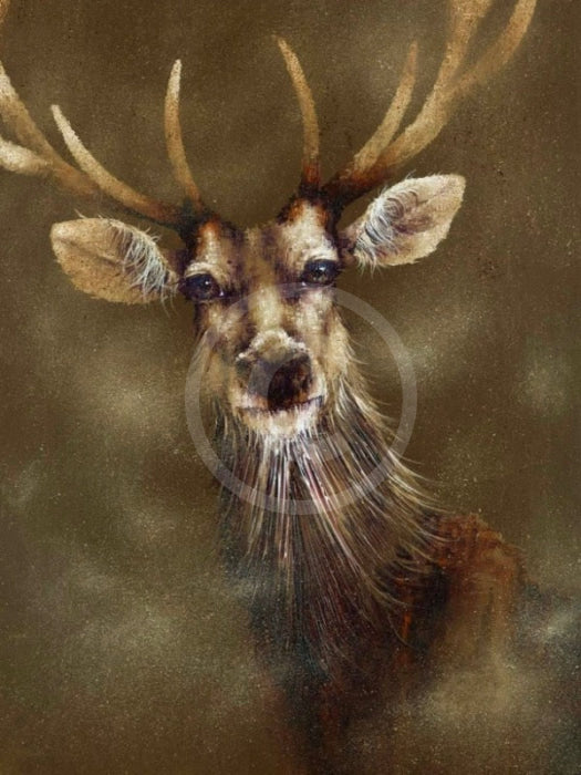 A Breath Of Fresh Air, Stag Print by Amanda Stratford 