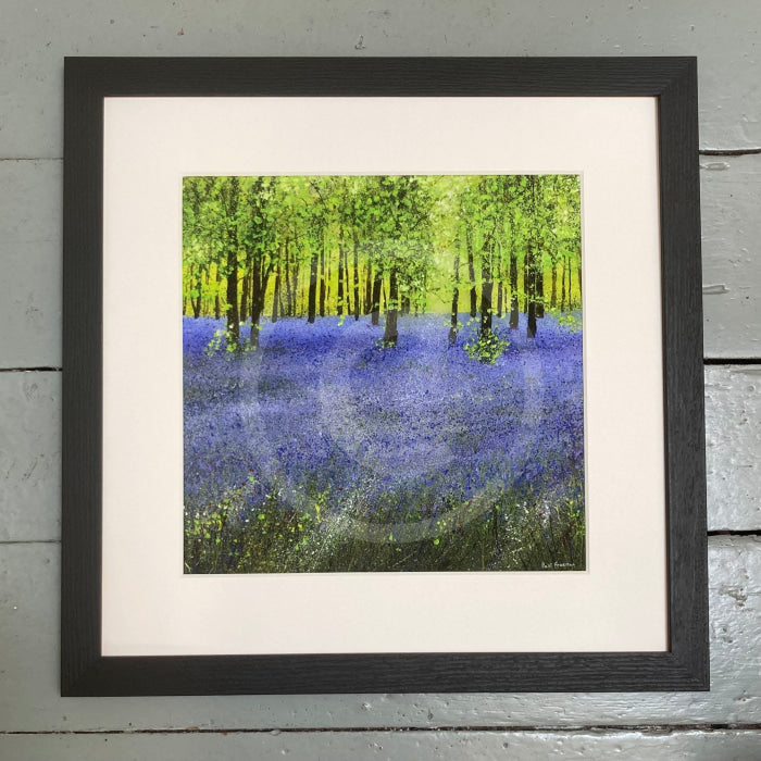 A Carpet Of Bluebells Giclee Print By Paul Freeman Framed Large Linear Black (C) Art Print