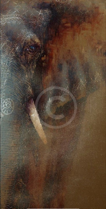 A Fading Image, Elephant Print by Amanda Stratford 