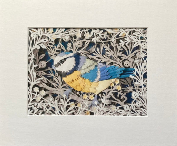 Blue Tit, Giclée Print of a Blue Tit by Anna Cook