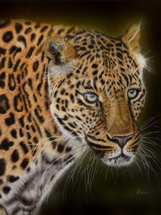 Fixation (Leopard) by Janine Lees