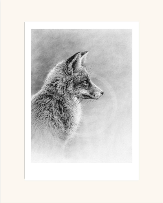 Fox Profile II by Nolon Stacey mounted