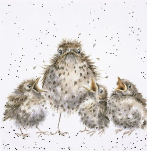 Frazzled by Hannah Dale, Garden Bird Print