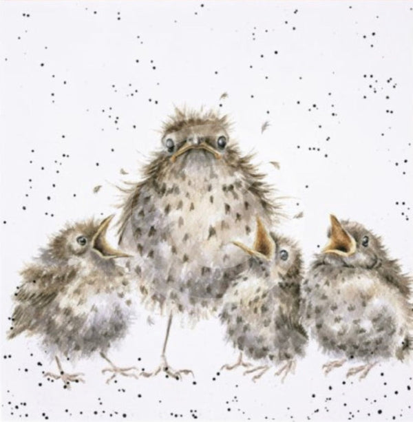 Frazzled by Hannah Dale, Garden Bird Print