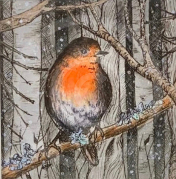 Frosty Robin Print by Daisy