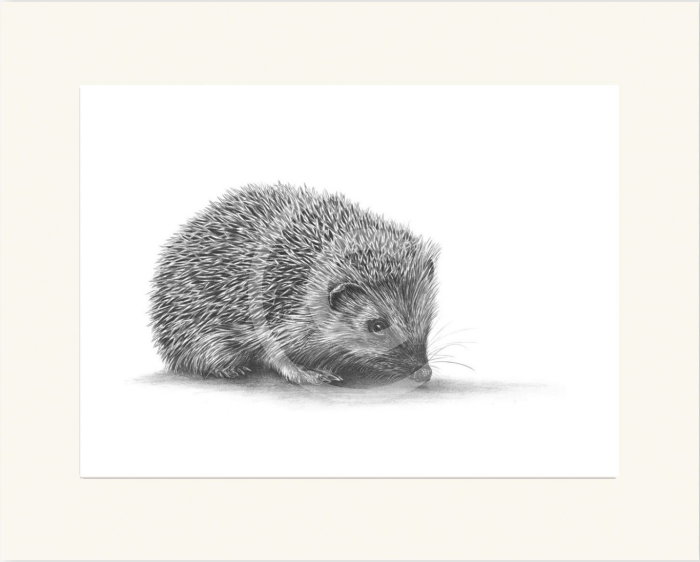 Hedgehog II by Nolon Stacey mounted