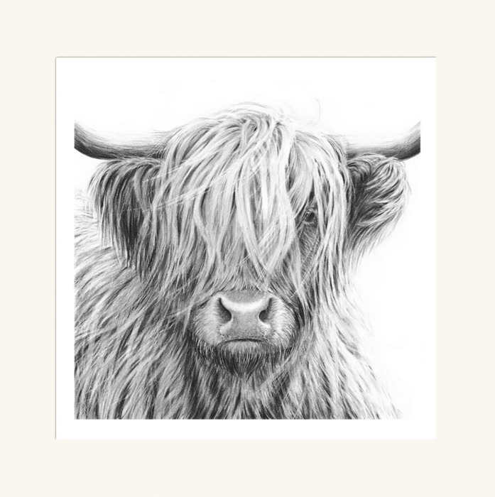 Highland Cow V by Nolon Stacey (square) mounted