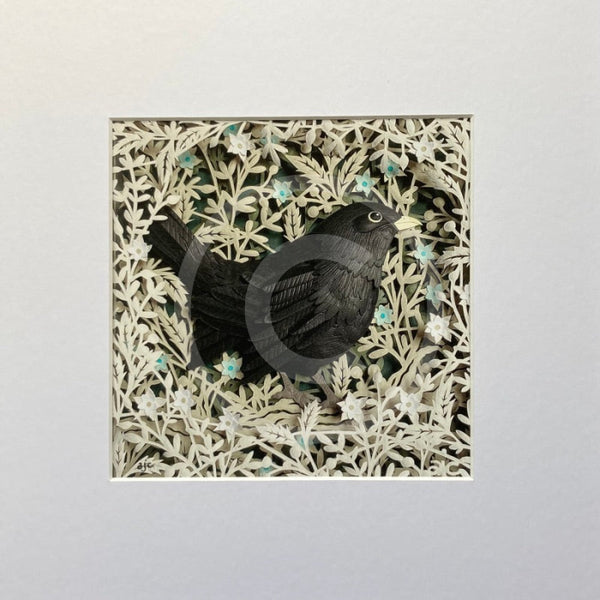 Little Blackbird, Giclée Print by Anna Cook