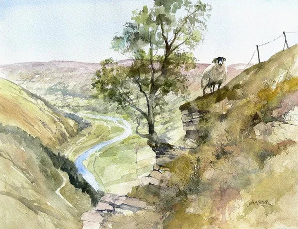 Lone Sheep, Swaledale by John Sibson