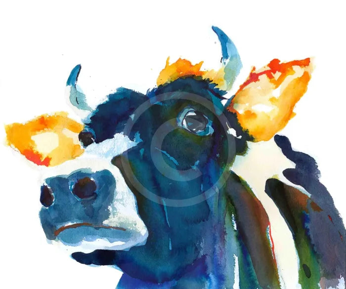 Look At My Horns, Limited Edition by Kate Stephens