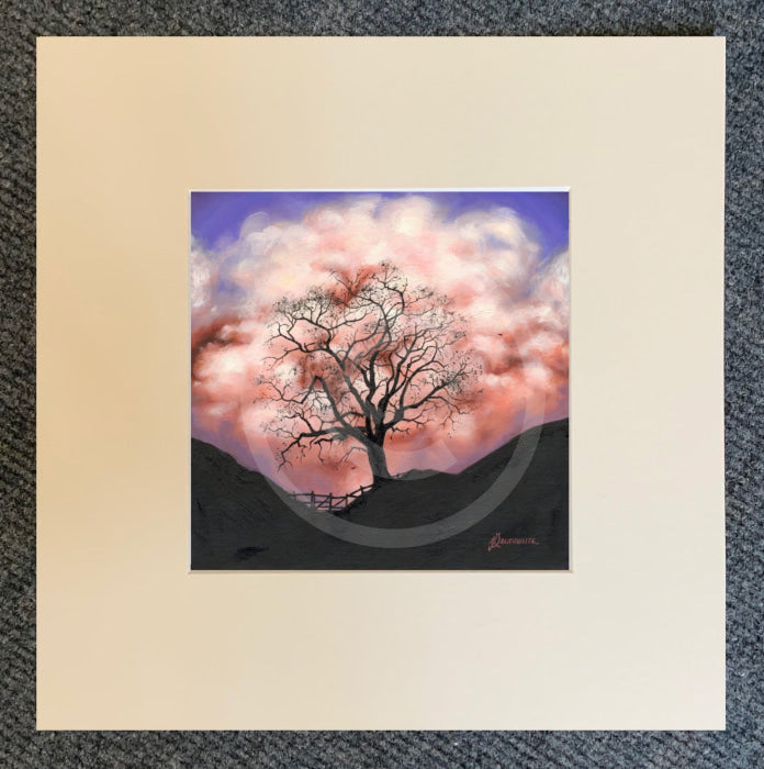 Marshmallow Skies, The Lonely Tree by Mark Braithwaite