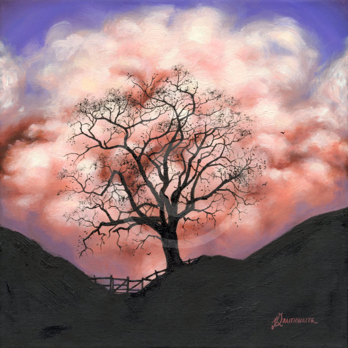 Marshmallow Skies, The Lonely Tree by Mark Braithwaite