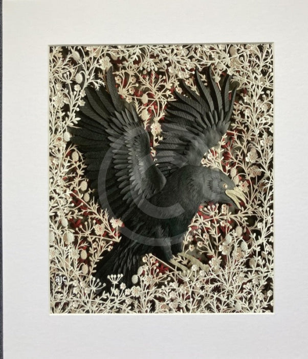 Night Glider, Giclée Print of a Crow by Anna Cook