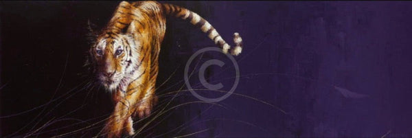 Night Passage, Tiger Print by Amanda Stratford 