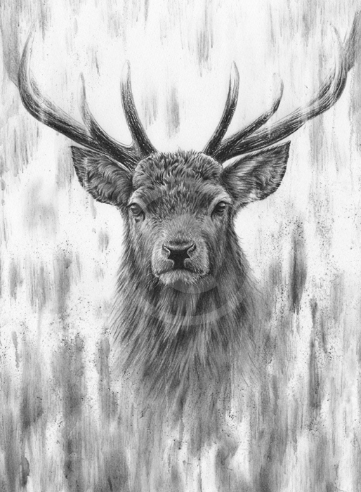 Red Stag Iii By Nolon Stacey Limited Edition Print