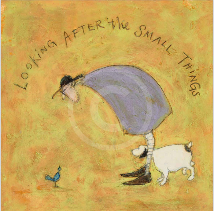 Sam Toft Official 2025 Calendar