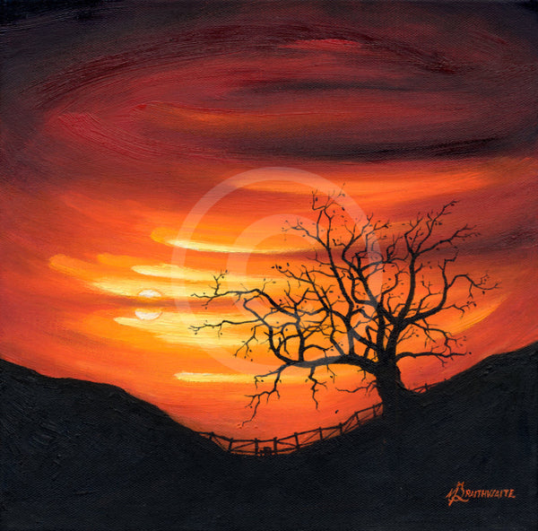 Sanguine Sunset, The Lonely Tree by Mark Braithwaite