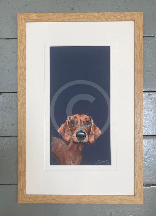 Sausage By Nicky Litchfield Limited Edition Print Framed 281 Oak (B)