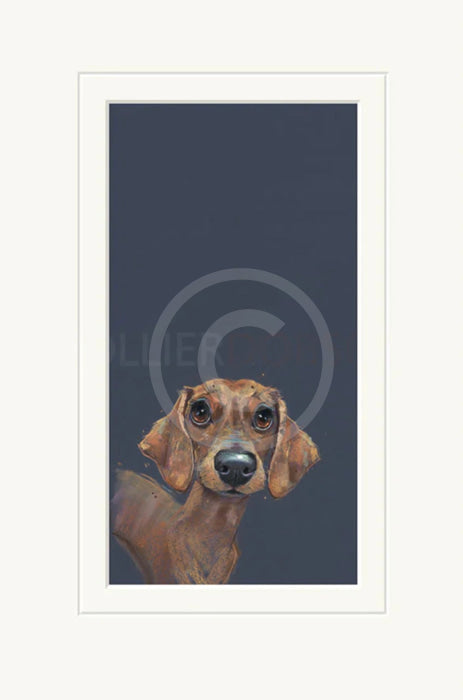 Sausage by Nicky Litchfield Limited Edition Print