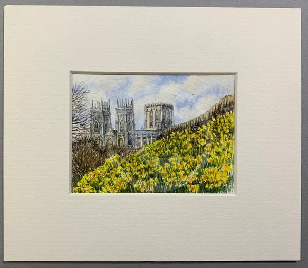 Daffodil Time, York City Walls - Natalja Olejnicka ORIGINAL WATERCOLOUR