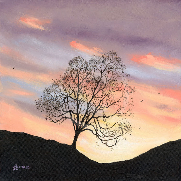 Pastel Skies, The Lonely Tree by Mark Braithwaite