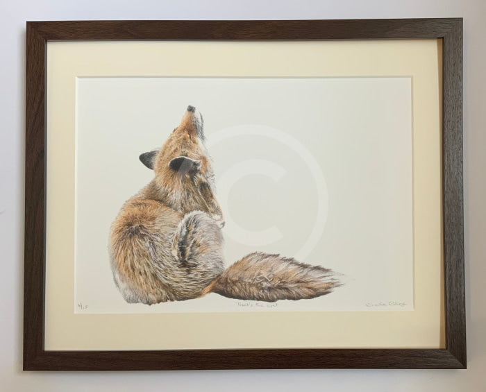 That’s The Spot Red Fox By Nicola Gillyon Framed Brown Cube (A) Art Print