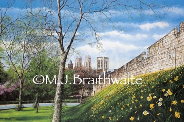 The City Walls By Mark Braithwaite