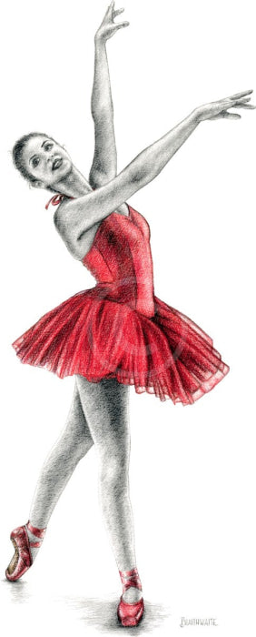 The Red Tutu 6 By Mark Braithwaite