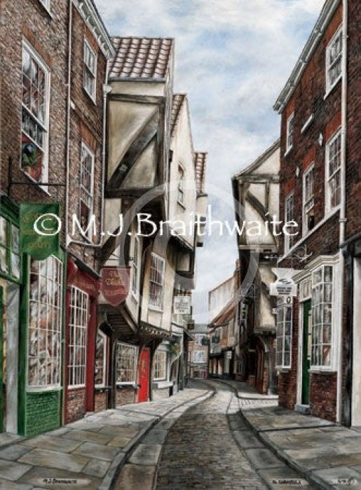 The Shambles By Mark Braithwaite