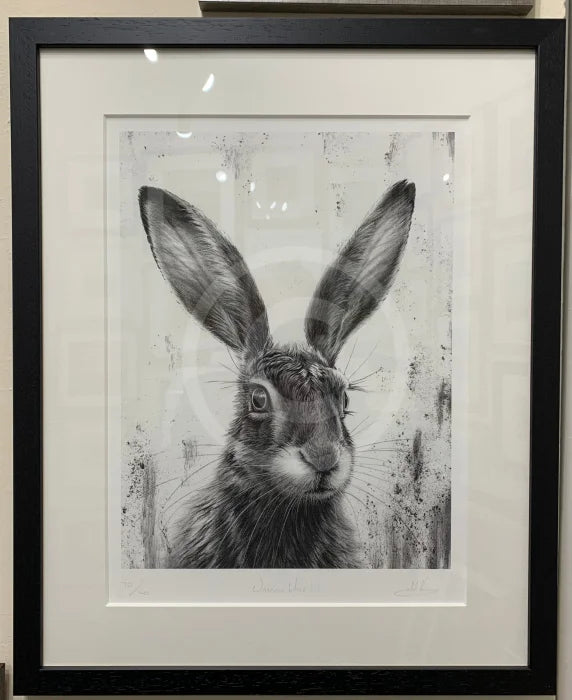 Watching Hare Iii (Portrait) By Nolon Stacey framed