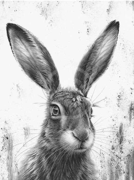 Watching Hare III (portrait) by Nolon Stacey