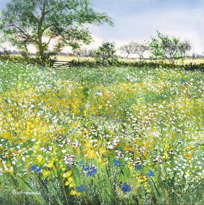 Wildflower Meadow Miniature GICLEE PRINT by Paul Freeman