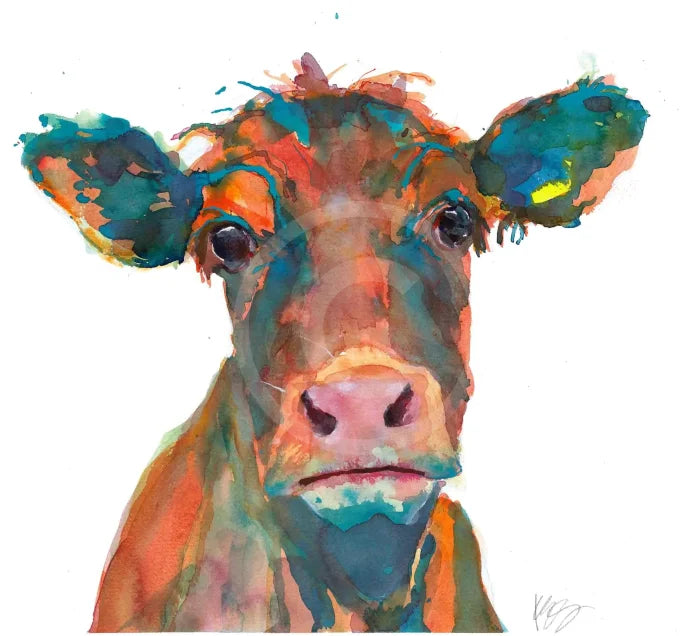 Young Heifer, Limited Edition by Kate Stephens